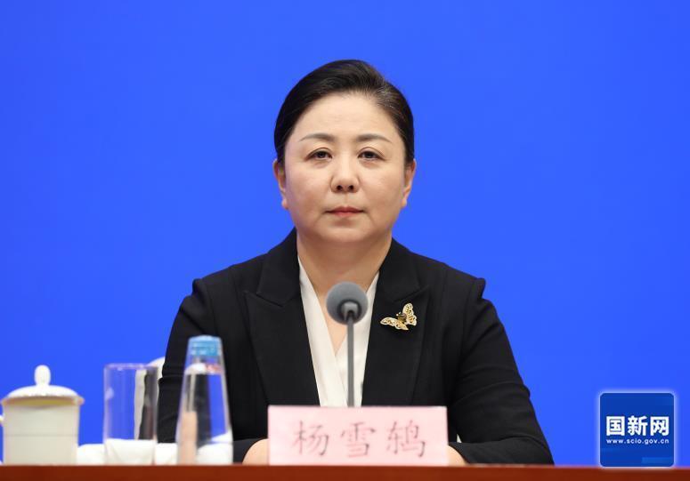 逐步扩展到, 育消费潜力, 地制宜推出